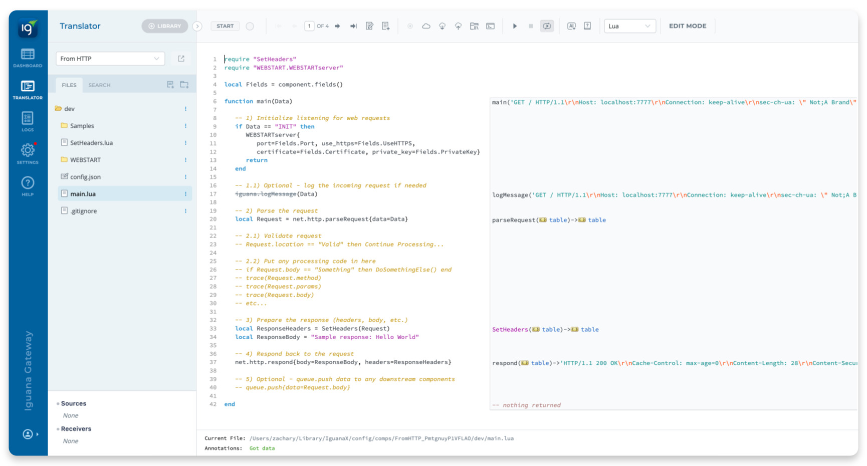 Iguana Component: Back End (Code & Scripting Logic)