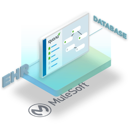 A better alternative to Mulesoft: Iguana simplifies integration through its supportive development environment and built-in documentation