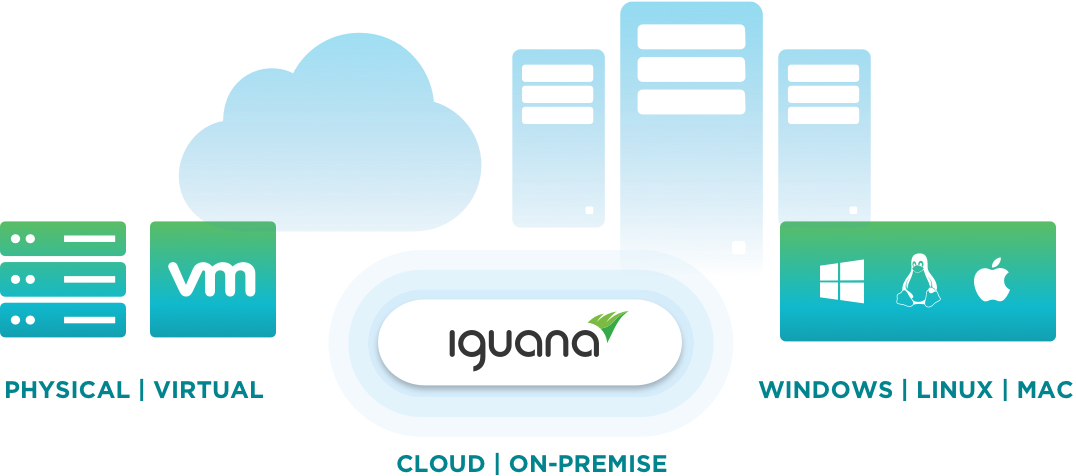 Iguana can be deployed on premise or in the cloud, in both physical and virtual environments