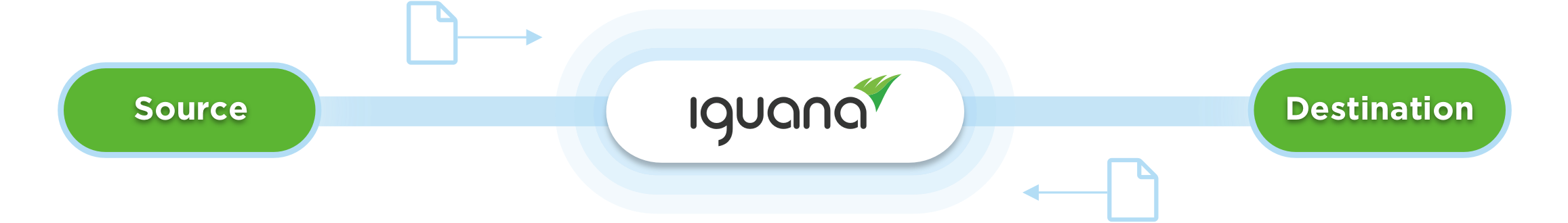 Image Alt Text