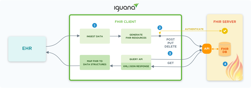 iguana-fhir-client-diagram
