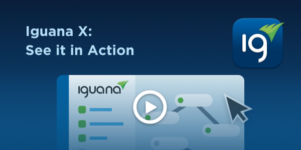 Demo Video: Iguana X In Action
