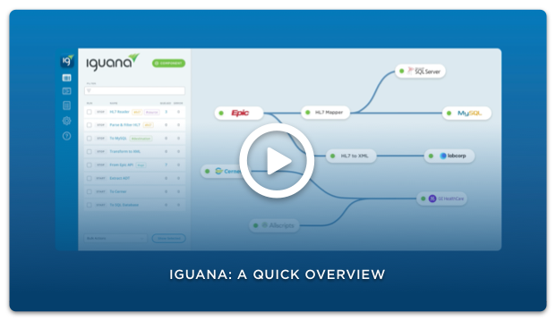 Iguana: A Quick Overview